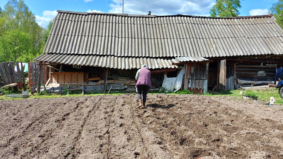 Не трогайте лопату в октябре: почему опытные агрономы больше не перекапывают грядки перед зимой