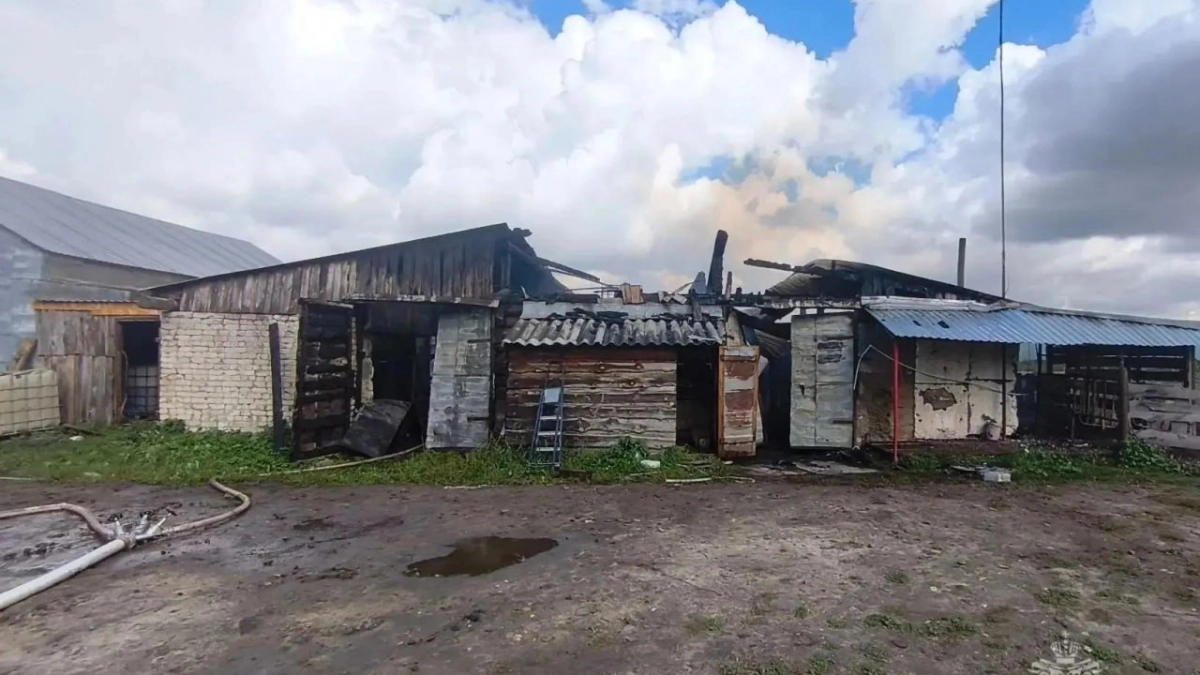 Четыре коровы погибли при ночном пожаре на животноводческой ферме в Нижегородской области