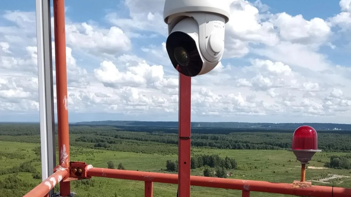 Количество камер в лесах Нижегородской области увеличено до 205