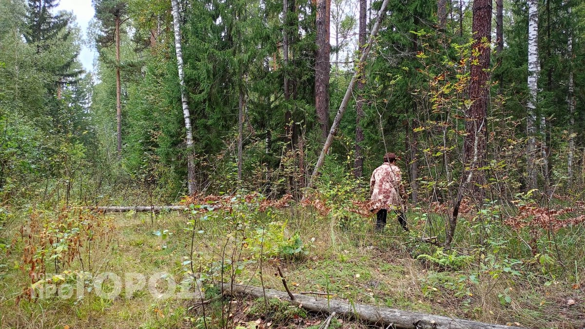 Спасатели МЧС предупредили нижегородцев о запрете на посещение лесов