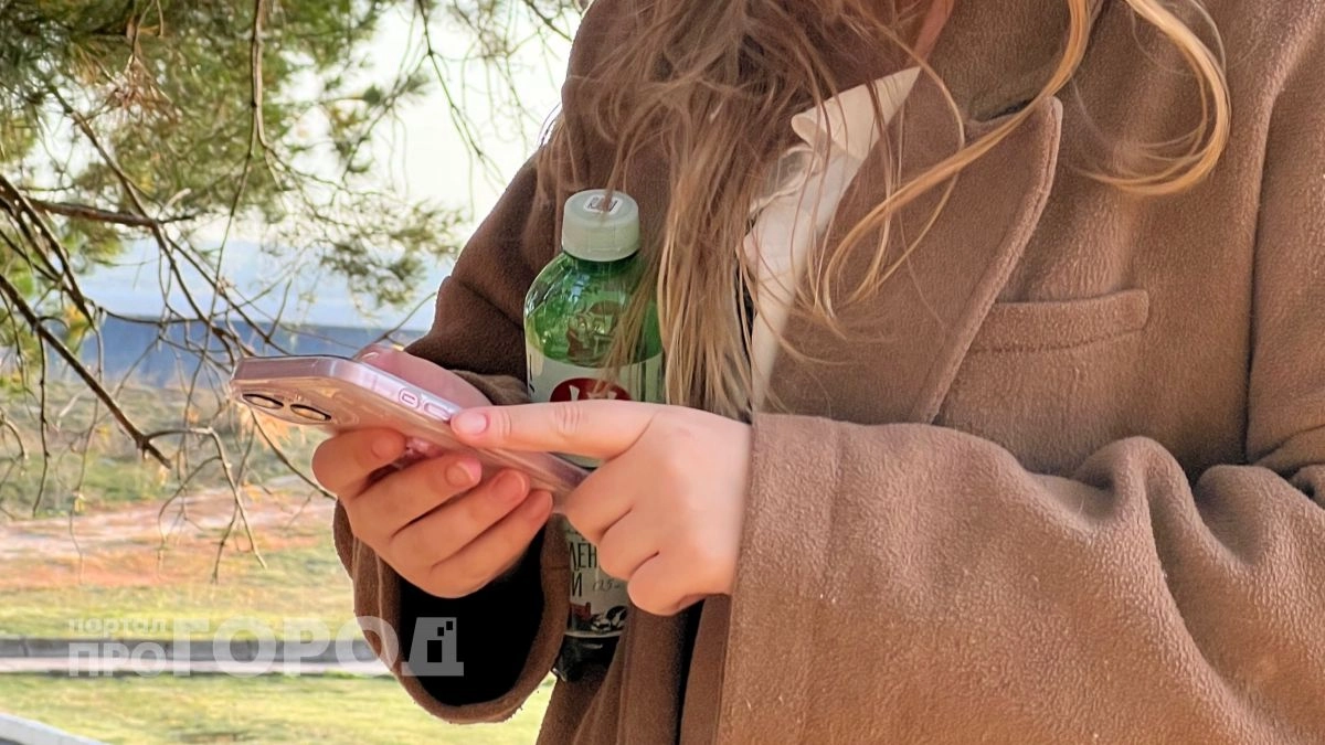 Девушка из Заволжья отдала знакомому из интернета 14 миллионов рублей