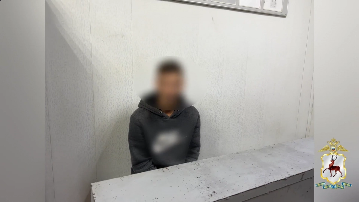 18-летний пьяный водитель иномарки под Выксой пытался сбежать от полицейских через лес после погони