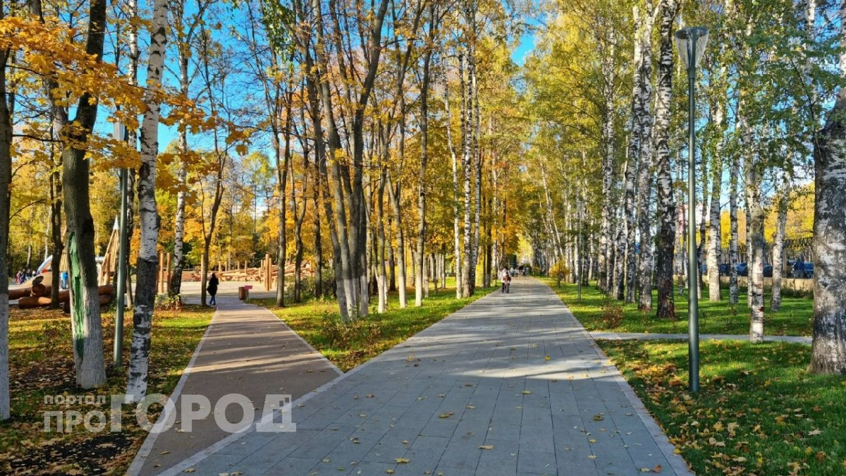 Успейте до заморозков: 5 лучших мест для сентябрьского пикника в Нижнем Новгороде