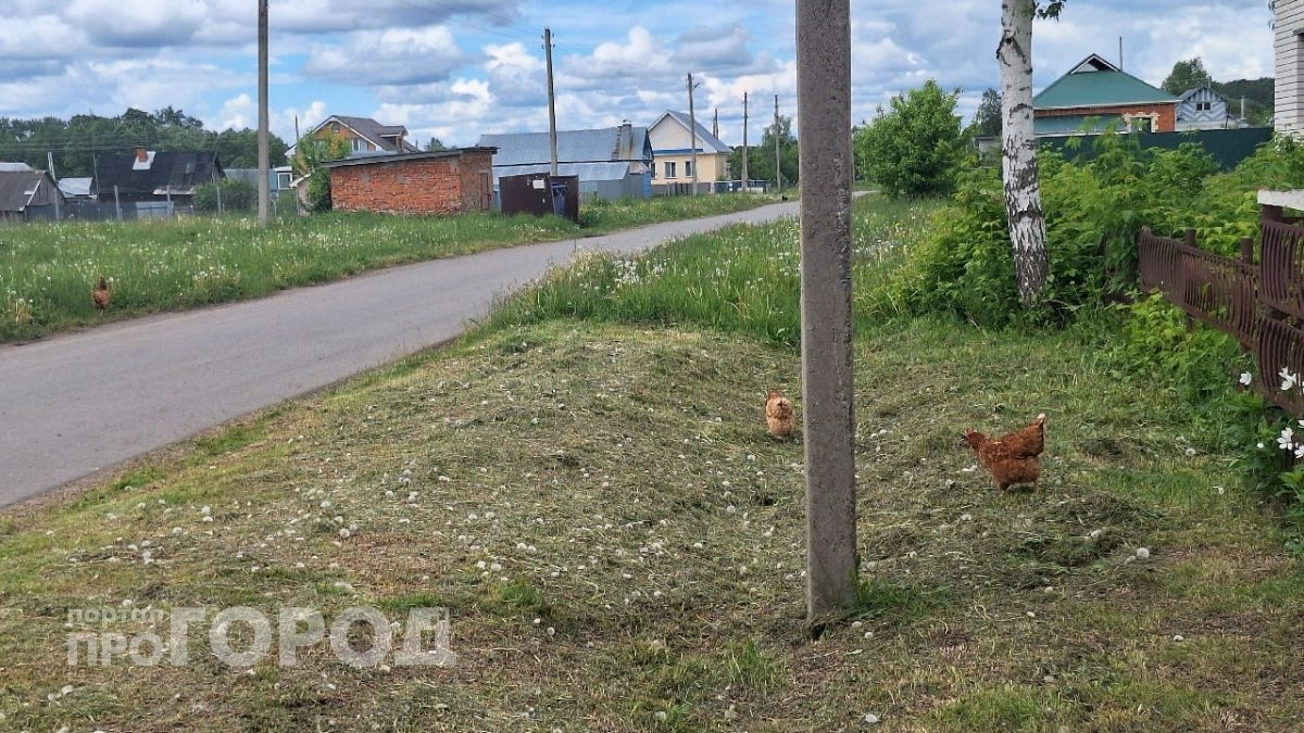 Семья с ребенком-инвалидом из Нижегородской области через суд добилась земли под дом