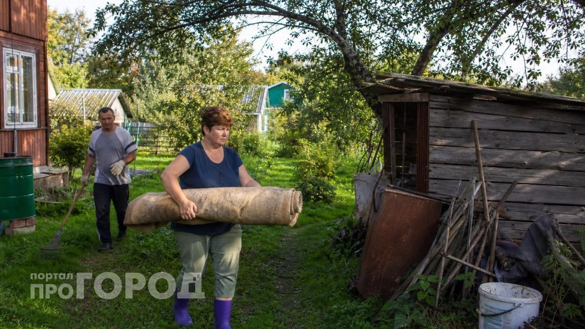 Сделайте это с коврами в сентябре: простая хитрость вернет им яркость и избавит от запахов без химчистки