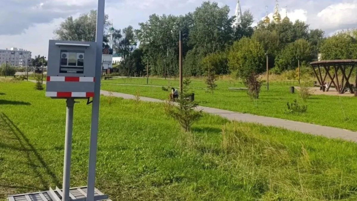 Мобильные камеры начали ловить водителей на дорогах Нижегородской области за ремни и телефоны