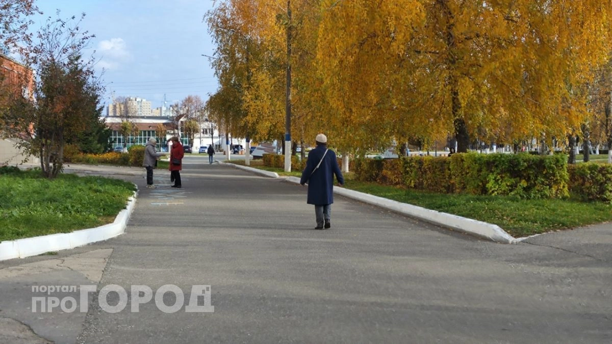 Более 2 миллионов рублей в целлофановом пакете отдала пенсионерка из Дзержинска курьеру после серии звонков