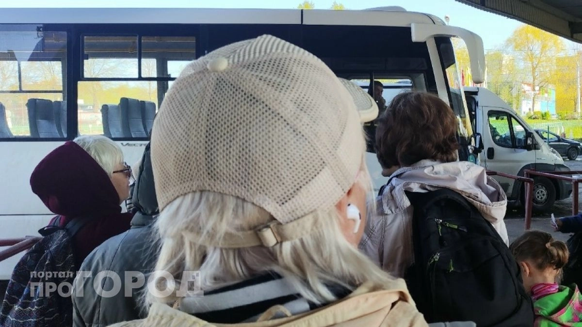 Власти Лысковского района потребовали наказать перевозчика за сорванные рейсы в Княгинино
