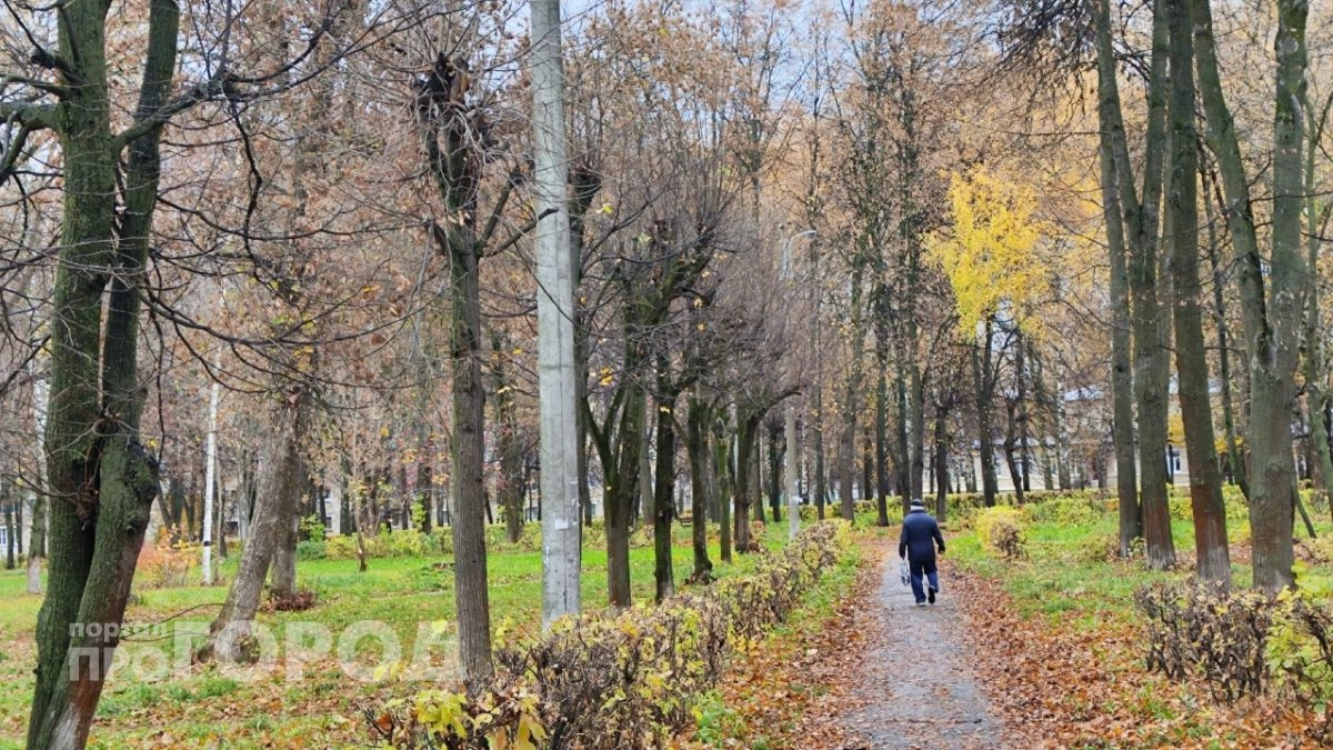 Нижегородцев ожидает пасмурный и дождливый понедельник
