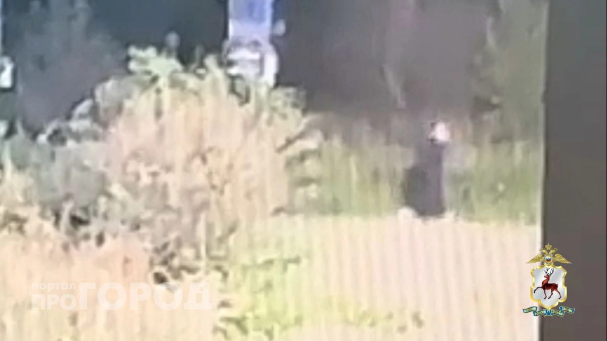 Вдова участника СВО из Арзамаса отдала телефонным аферистам более 4 миллионов рублей 