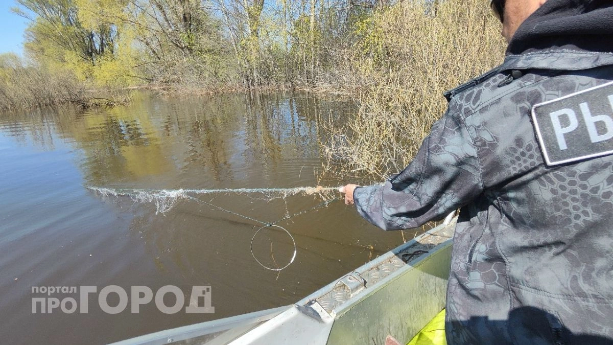 Штрафы за незаконную ловлю раков выросли почти в 15 раз 