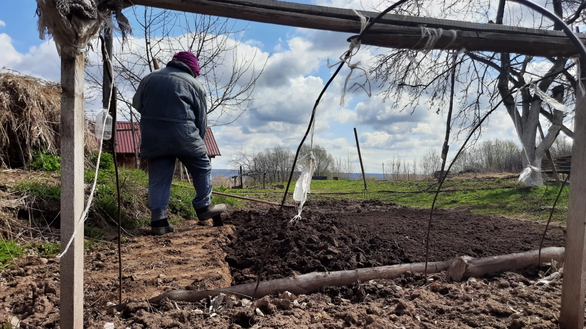 Никакого навоза: агроном назвал три лучших удобрения под зиму для рекордного урожая