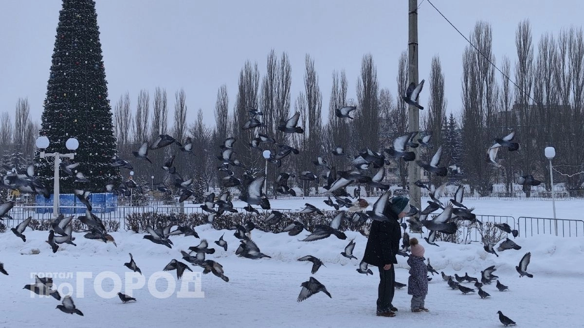 Измененные новогодние каникулы 2026-2027: выходные перенесли из-за обстановки в стране