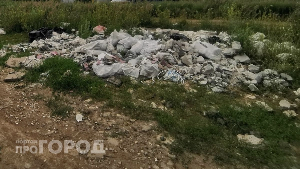 Свалки с опасными отходами нашли в Автозаводском районе