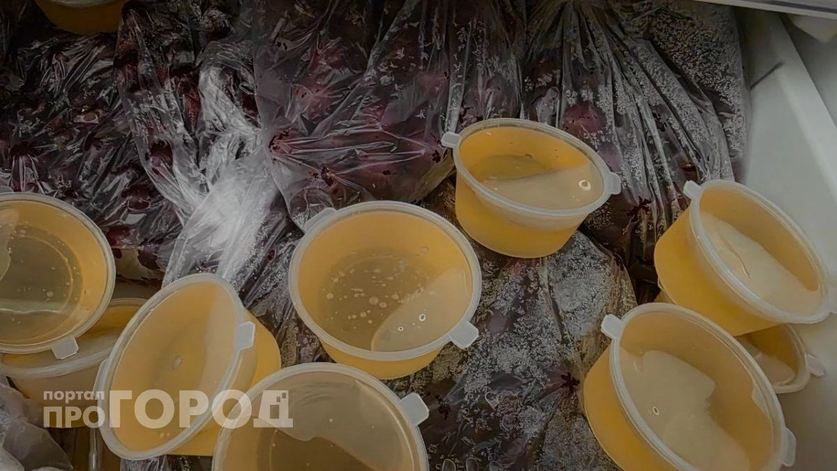 Никакого сахара и осадка: простой трюк с морозилкой сохранит мед жидким на годы
