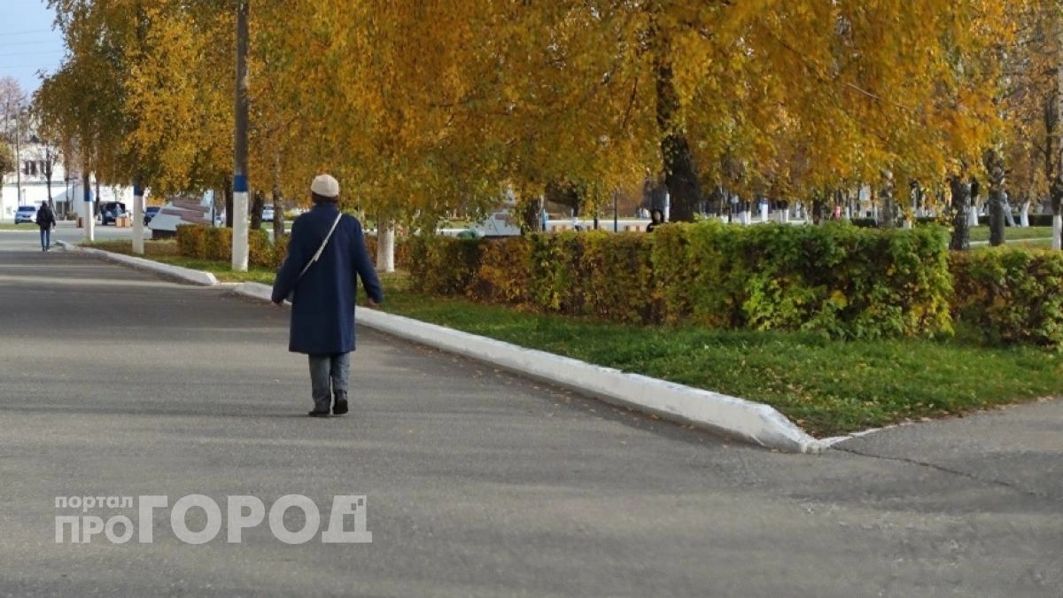 Нижегородка отдавала курьерам миллионы в черных пакетах по кодовому слову "мама"