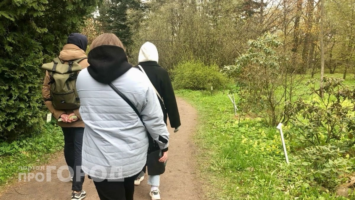 Девушка из Дзержинска потеряла почти 300 тысяч рублей, поверив в звонок из правоохранительных органов