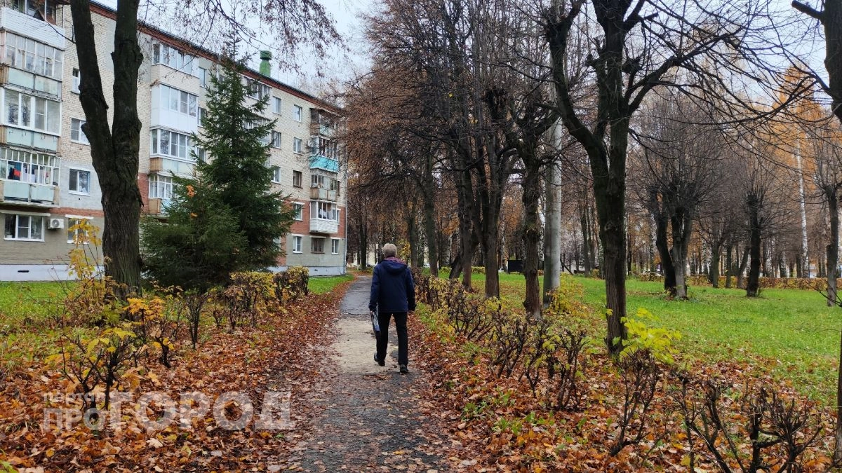 В Нижнем Новгороде пенсионер отдал аферистам золотые монеты на восемь миллионов