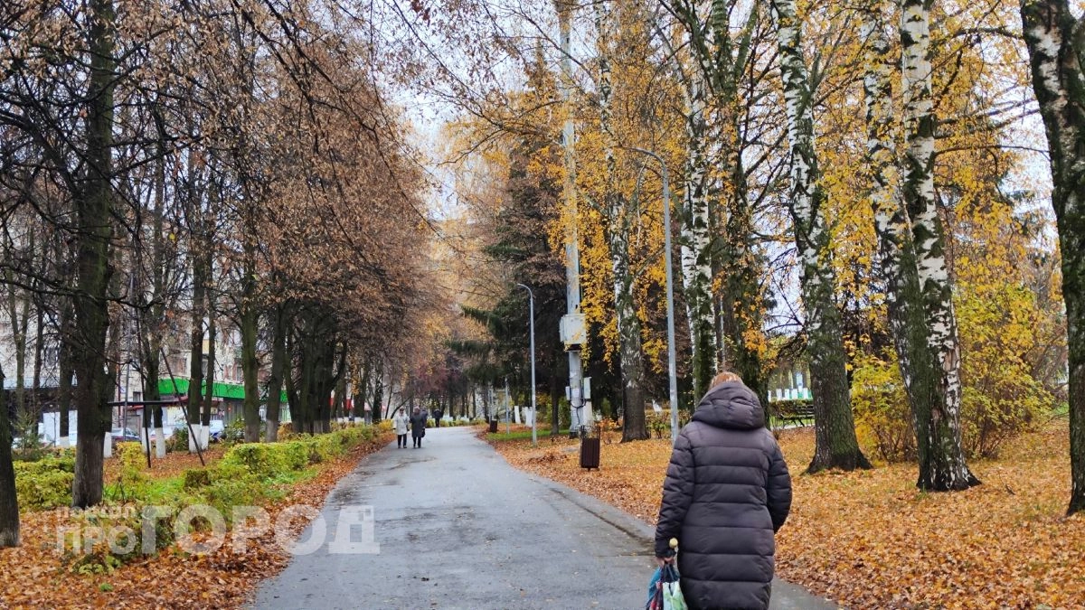 Сырость, холод и дождь: посреди недели нижегородцам пригодятся зонты и теплые куртки