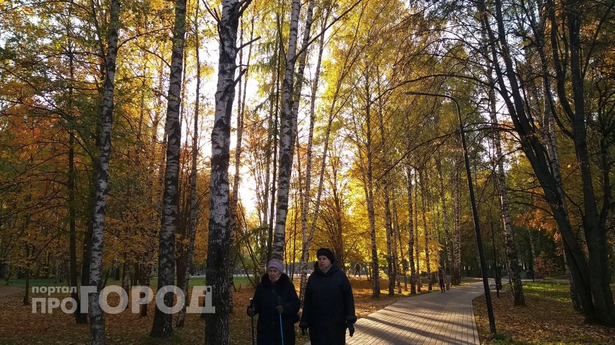 Легкая прохлада и ясный день: нижегородцев ждет комфортная осенняя погода без дождя