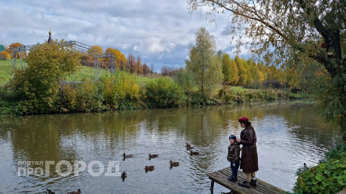 Золотая осень еще впереди: в середине октября в Нижний Новгород придет долгожданное потепление до +18