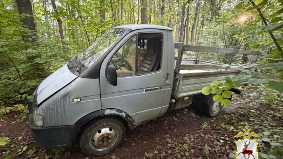 Под Перевозом сельчанин пустил ценный лес на баню и лишился ГАЗели