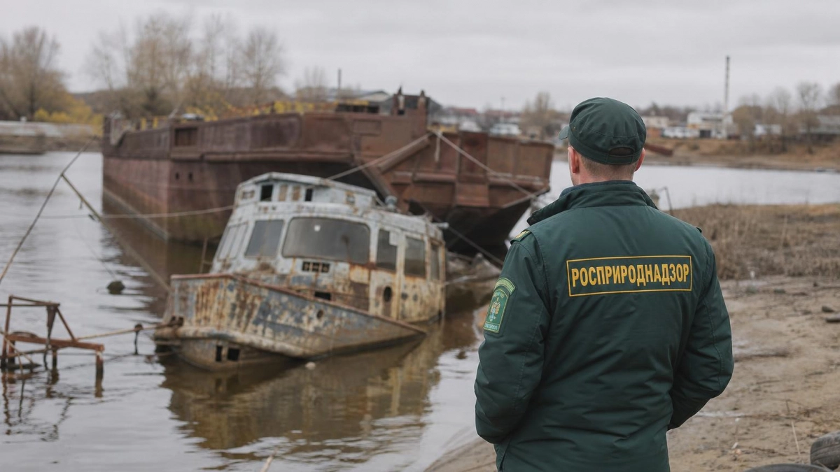 Росприроднадзор провел экологическую проверку «кладбища кораблей» на Бору