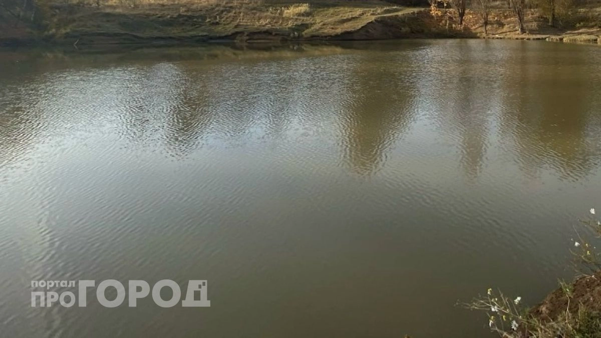 Ядовитый пруд у дач собираются уничтожить в Нижнем Новгороде