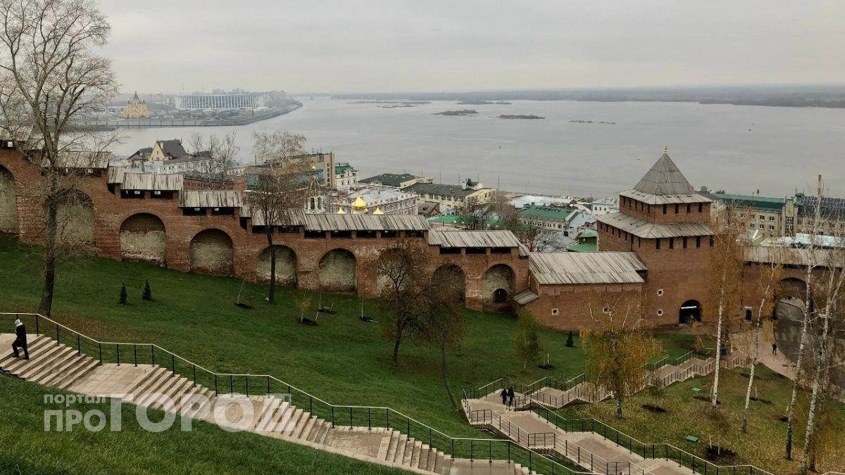 Нижегородская область сэкономила 263 миллиона рублей за месяц 