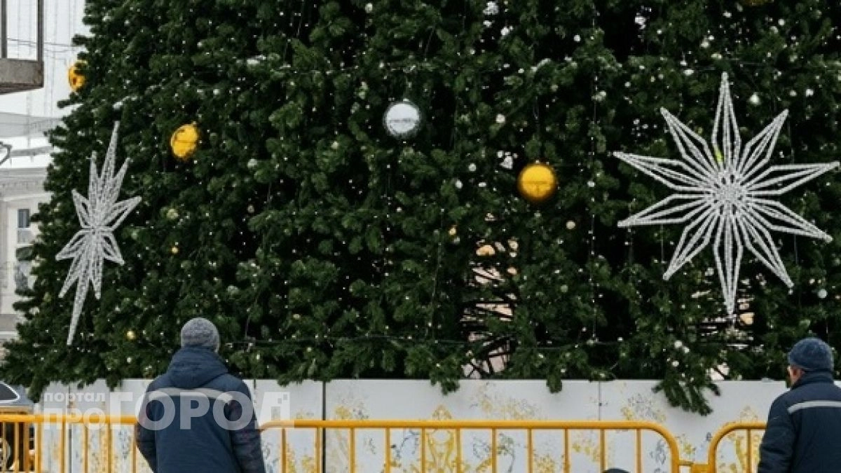 Нижегородские депутаты потратят миллион на елочные шары 