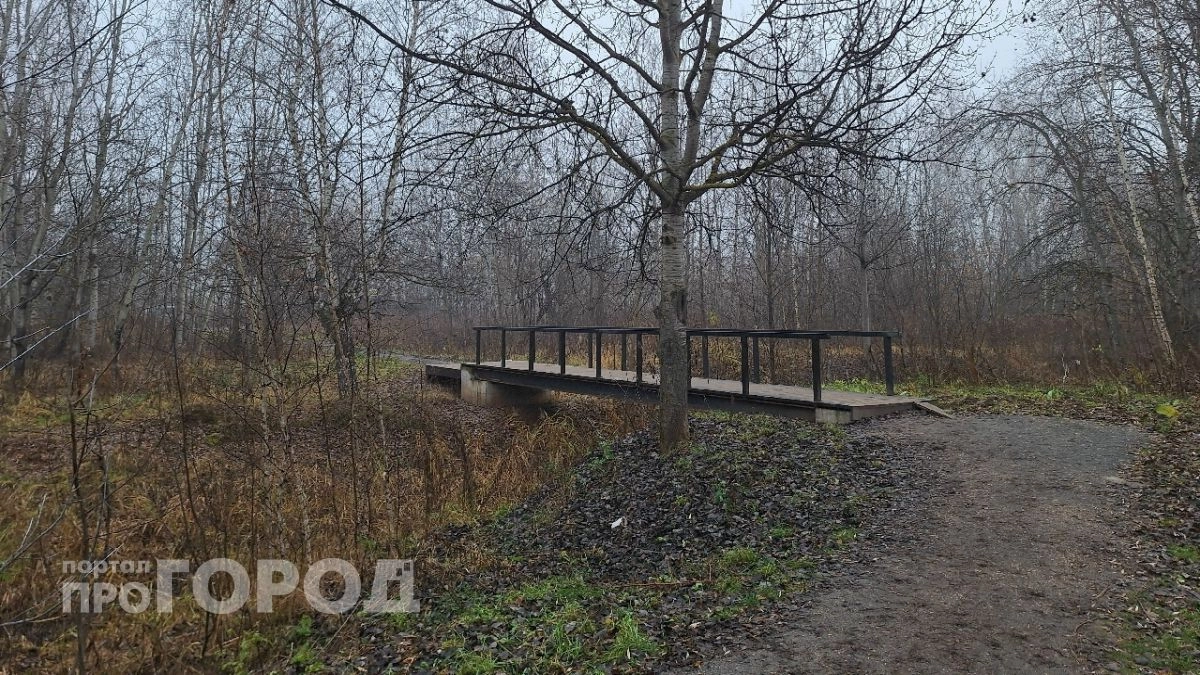 Аварийный мост заменят в Нижнем Новгороде за 10 миллионов рублей