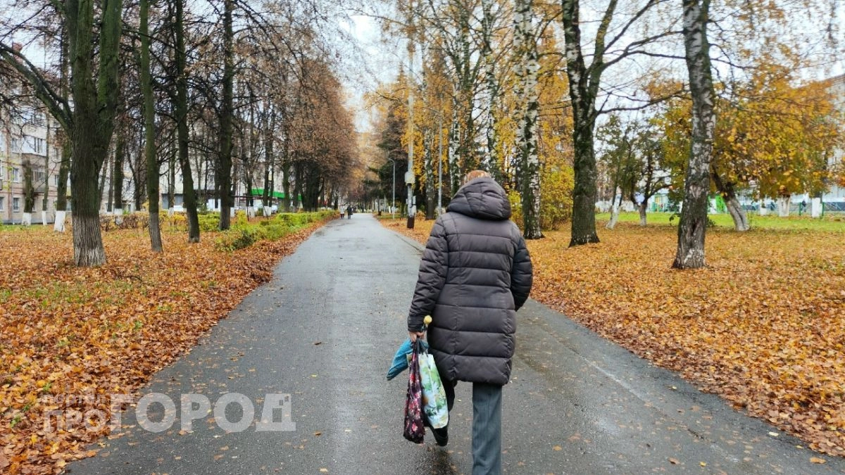 Голос в телефоне убедил жительницу Павлова выйти на улицу и отдать 7 миллионов курьеру 