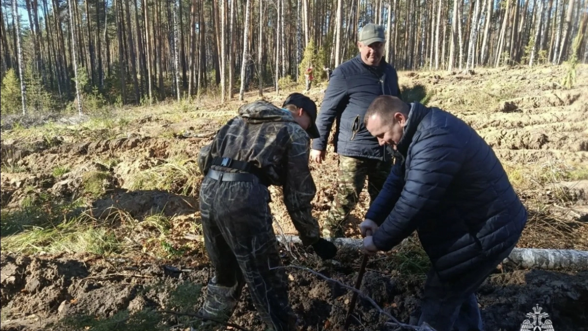 Нижегородские спасатели высадили 10 000 деревьев в Михайловском лесничестве