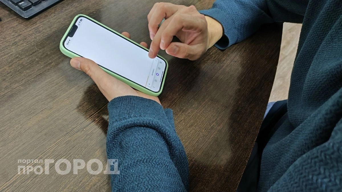 Житель Дзержинска мечтал об иномарке из-за рубежа, но отдал 3,5 миллиона за пустые обещания 