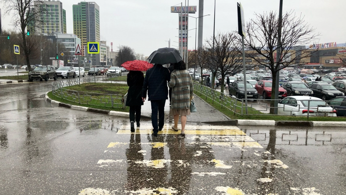 Тысячи сами поползут в карманы: названы самые денежные дни в ноябре для Овнов, Львов и Дев