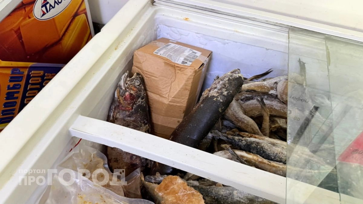 В Нижегородской области нашли рыбу с кишечной палочкой и подозрительно жирный творог