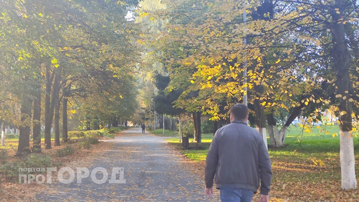 В борской деревне поймали беглеца из Узбекистана с целым гаремом жен