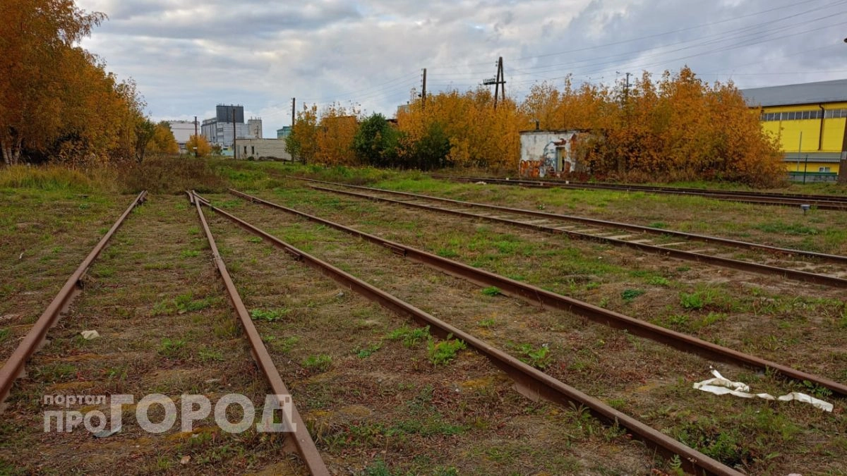 Поезд насмерть сбил перебегавшего рельсы мужчину под Нижним Новгородом
