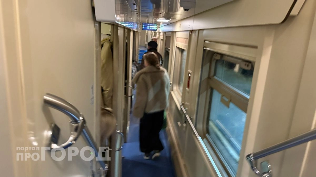 Пьяная нижегородка порвала форму проводнице из-за пива и попала на огромный штраф за то, что притормозила поезд