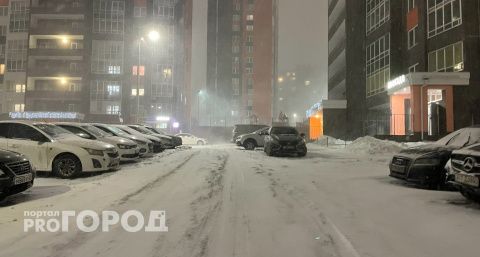 Морозные ночи и мокрый снег: в Нижегородской области похолодает до -7