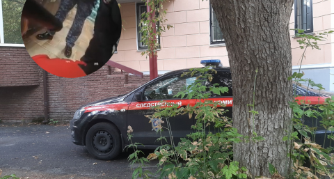 Бастрыкин поручил завести уголовное дело из-за нападения мужчины на женщину с 12-летним ребенком в кстовском магазине