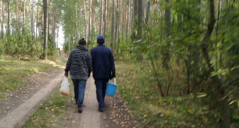 Грибники торопятся в лес с ведрами: из-за аномально теплого апреля начали расти аппетитные и ценные грибы