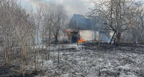 В Арзамасе сгорели 6 садовых домиков из-за сжигания мусора в бочке