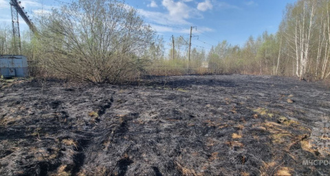 Пал сухостоя привел к пожару на улице Удмуртской в Нижнем Новгороде