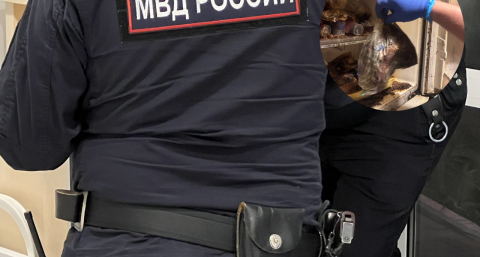 На нижегородца, у которого дома нашли холодильник, полный трупов животных, завели уголовное дело