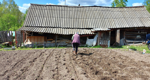 Дачу сотрут с лица земли, если найдут на участке это: россиян ошарашили новыми правилами на участках с 1 июня