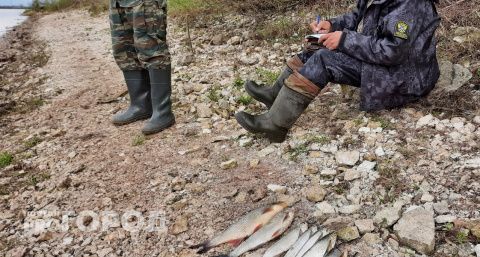 На Суре и Волге в Нижегородской области задержали браконьеров с сетями