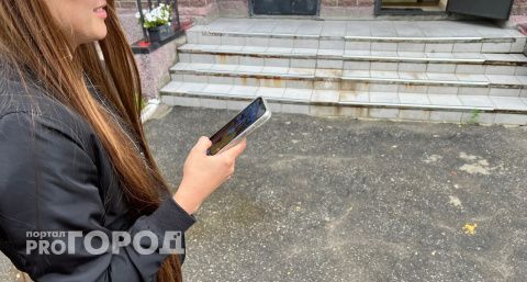 21-летняя нижегородка решила пройти налоговую проверку и ее покинула полумиллионная сумма
