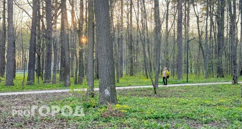 В Нижегородской области ввели особый режим из-за погоды: МЧС выпустило предупреждение
