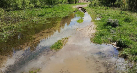Местный водоканал оставил жителей Бора без воды 